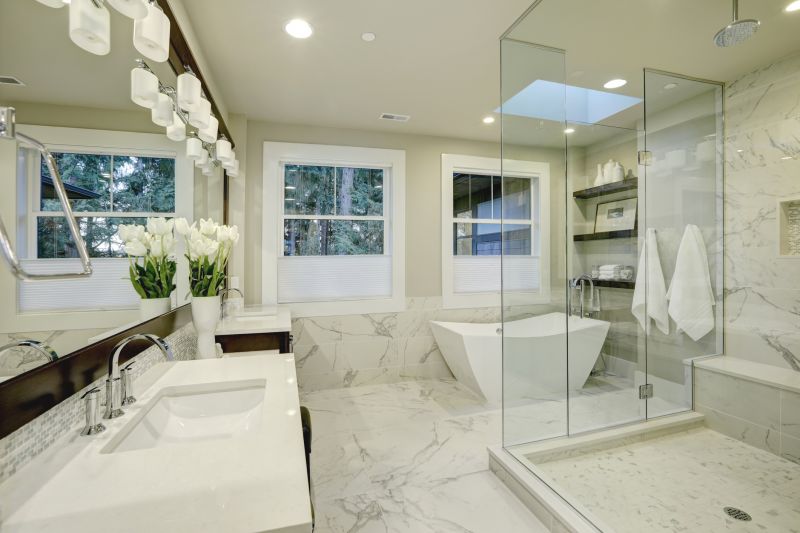 Elegant Shower Renovations